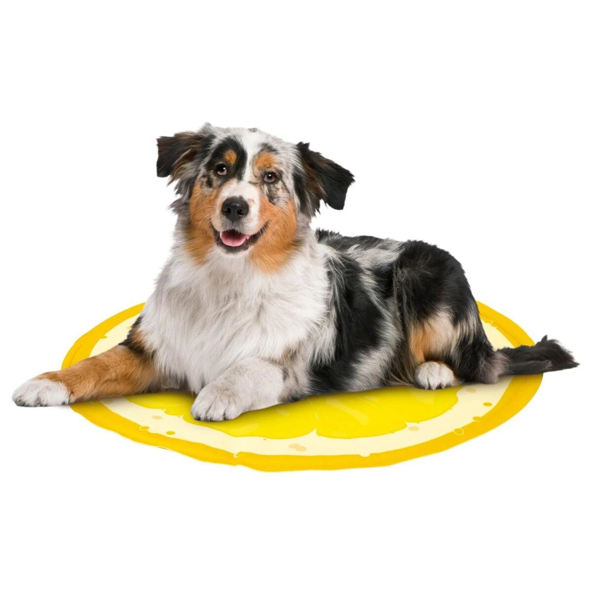 Tapis rafraîchissant pour chien ZOOFARI® (jaune)