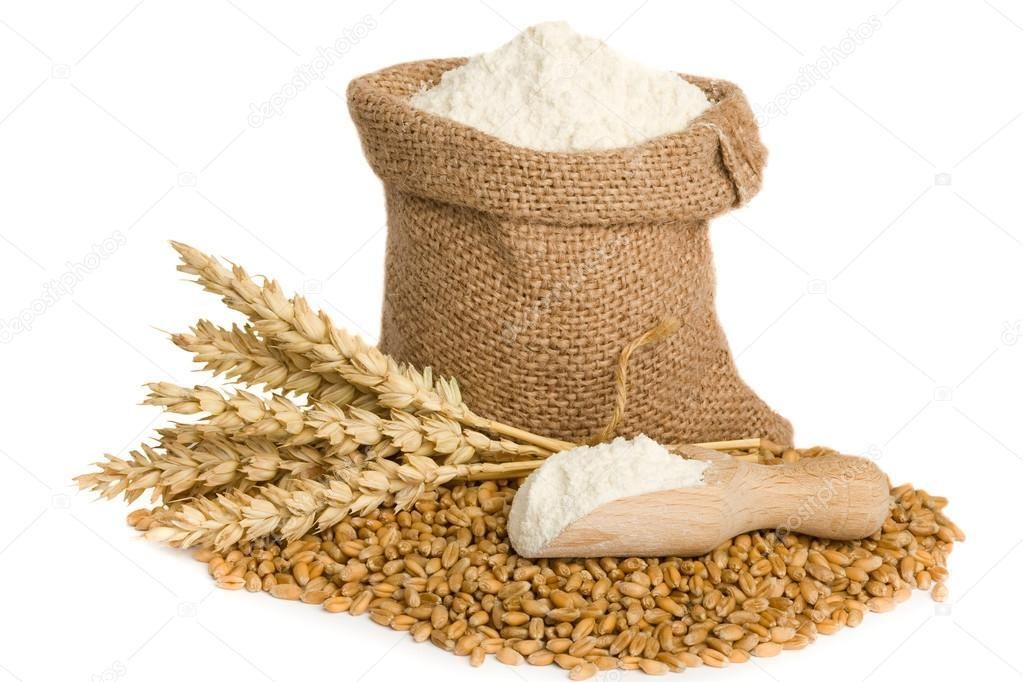 Premium WHEAT FLOUR TYPE 750, packaged – 25 kg