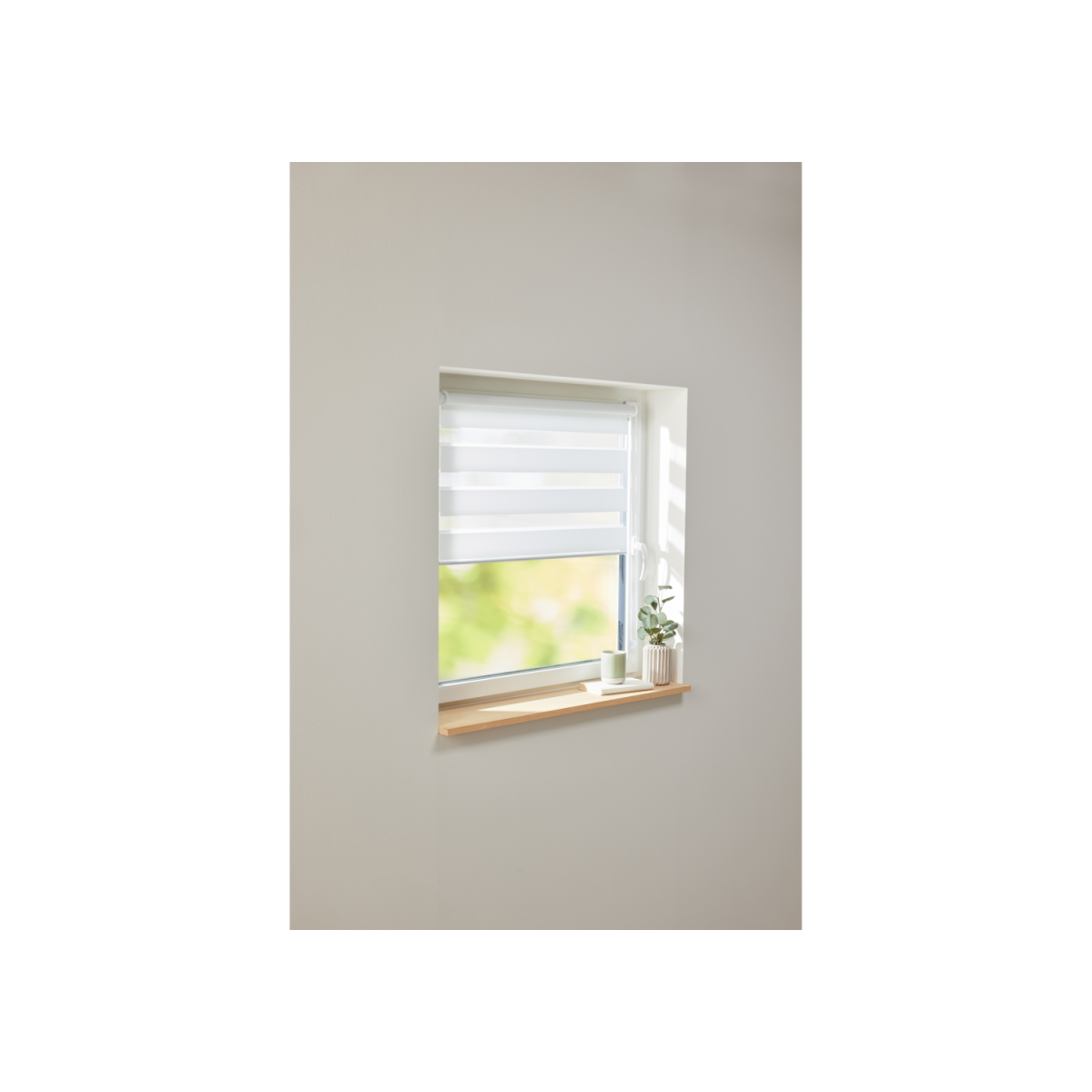LIVARNO Home Duo roller blind, 100 x 150 cm, with transparent and opaque segments