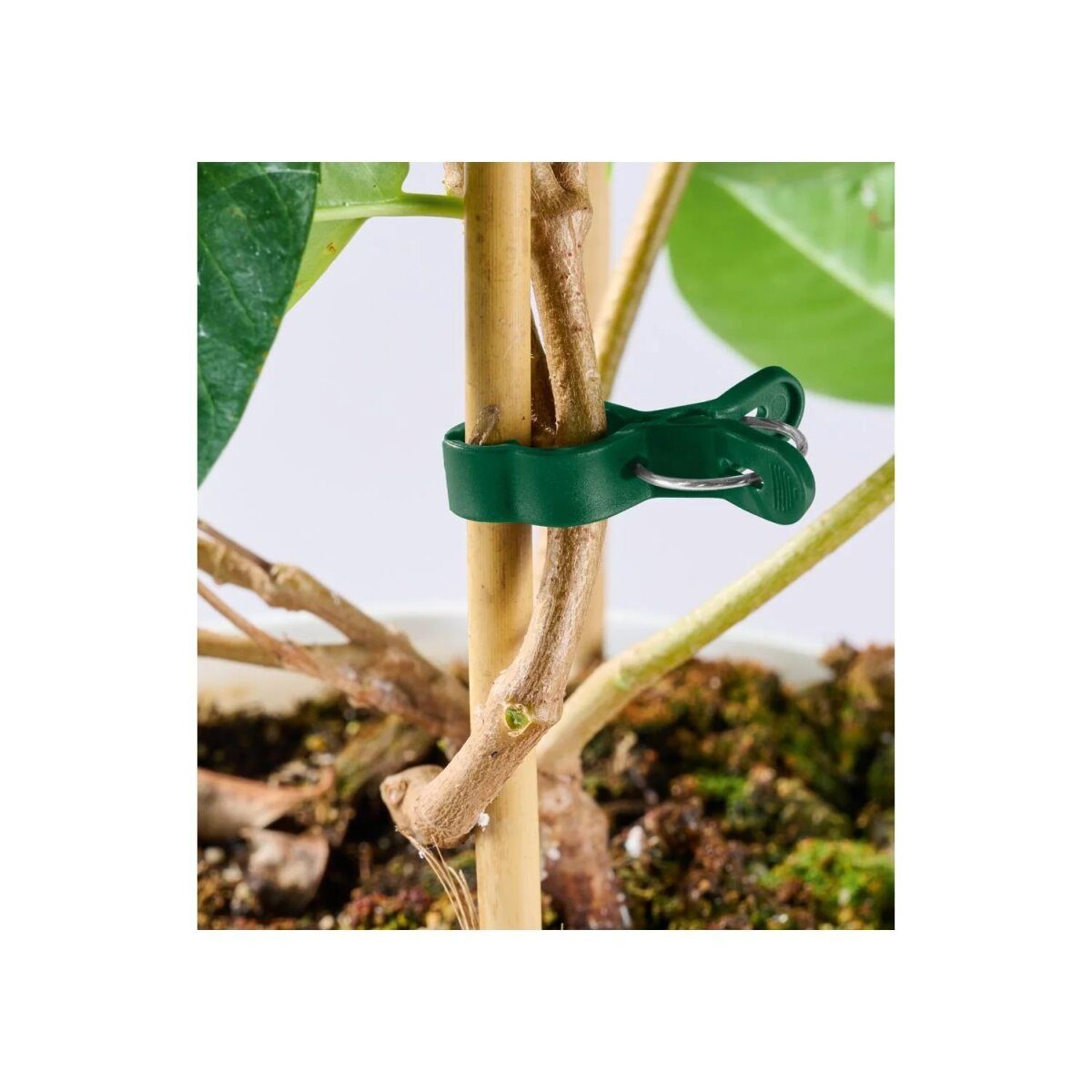 PARKSIDE® Growth Aid Kit / Plant Wire Kit