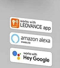 Smart LED outdoor light with surveillance camera with motion detector wall light Amazon Alexa Google Home