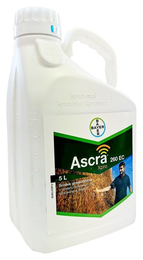 ASCRA XPRO 260 EC 5L Bawarski ASCRA XPRO 260 EC 5L Bawarski