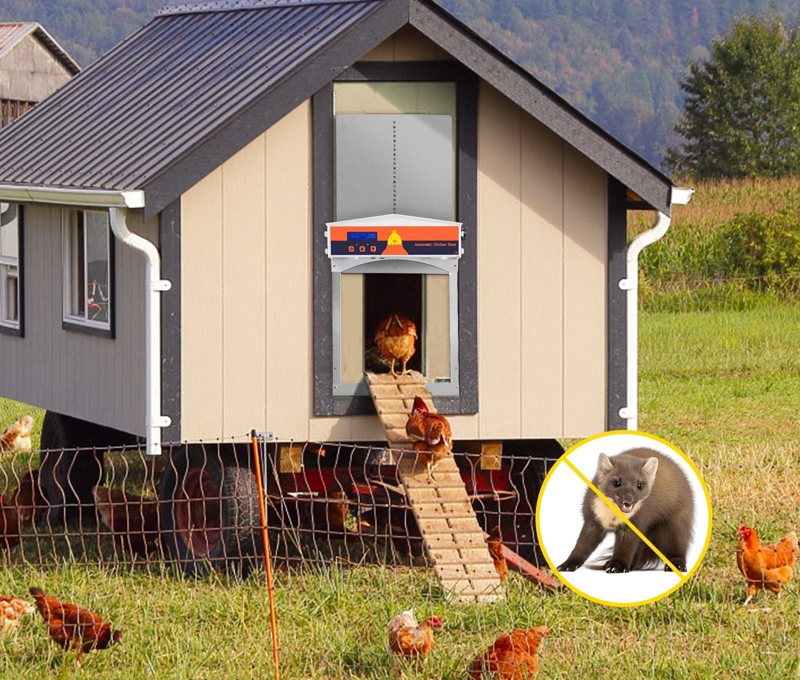 Automatic chicken coop door, galvanized iron/ABS, chicken flap, gray chicken door, photosensitive aluminum, light sensor, timer for opening and closing in the evening and in the morning