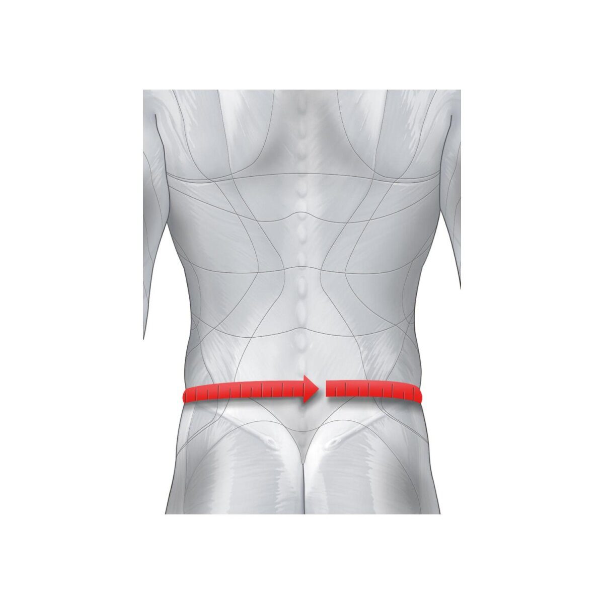 SENSIPLAST® back bandage