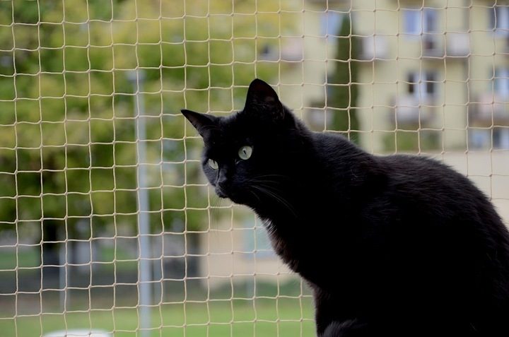 BALCONY NET FOR CATS 5x3m NO DRILLING Cat net