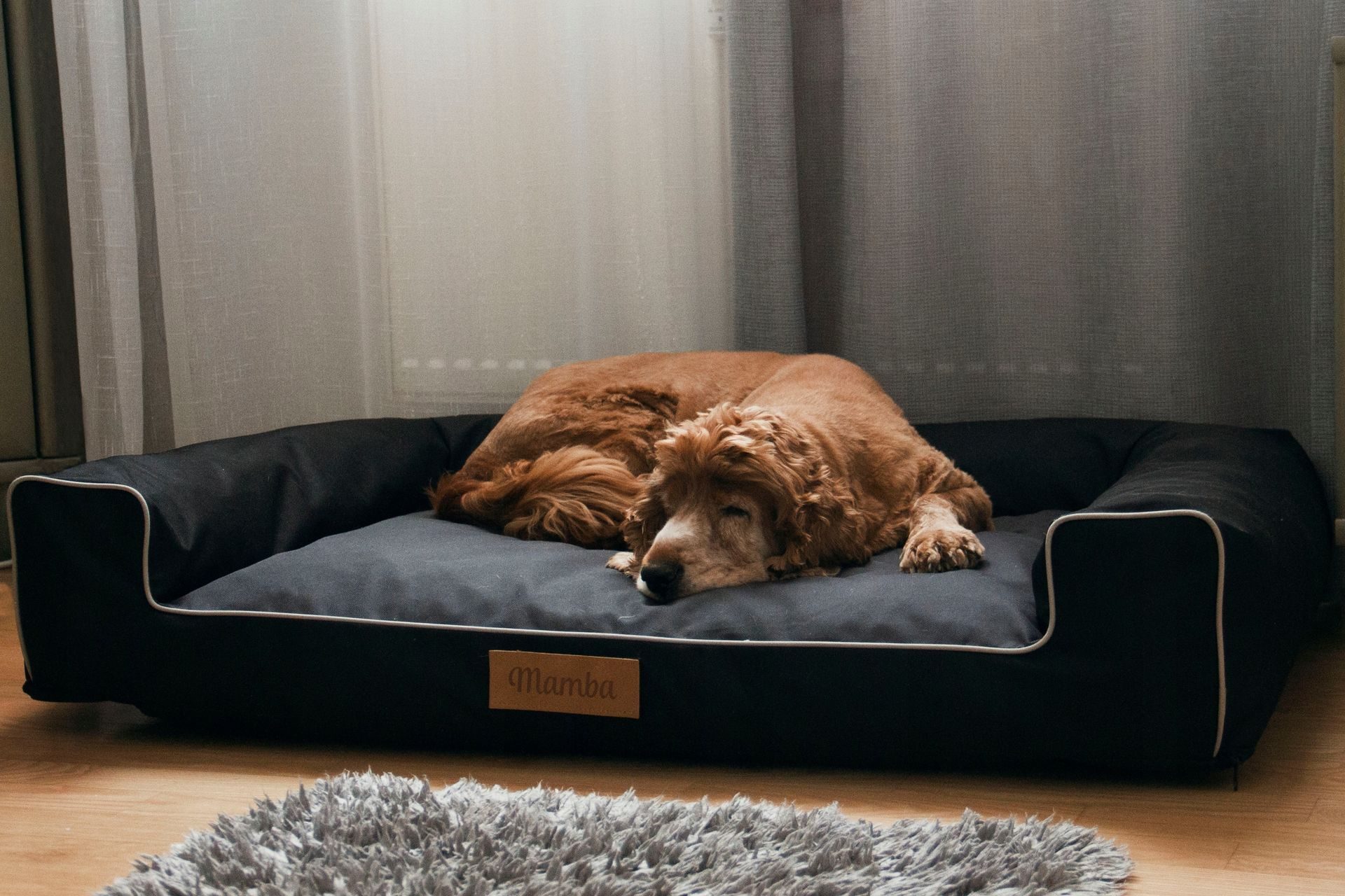Lit pour chien fait à la main, coussin pour chien, canapé pour chien, lit pour animaux, lit pour chat, panier pour chien, lieu de couchage avec plaque signalétique
