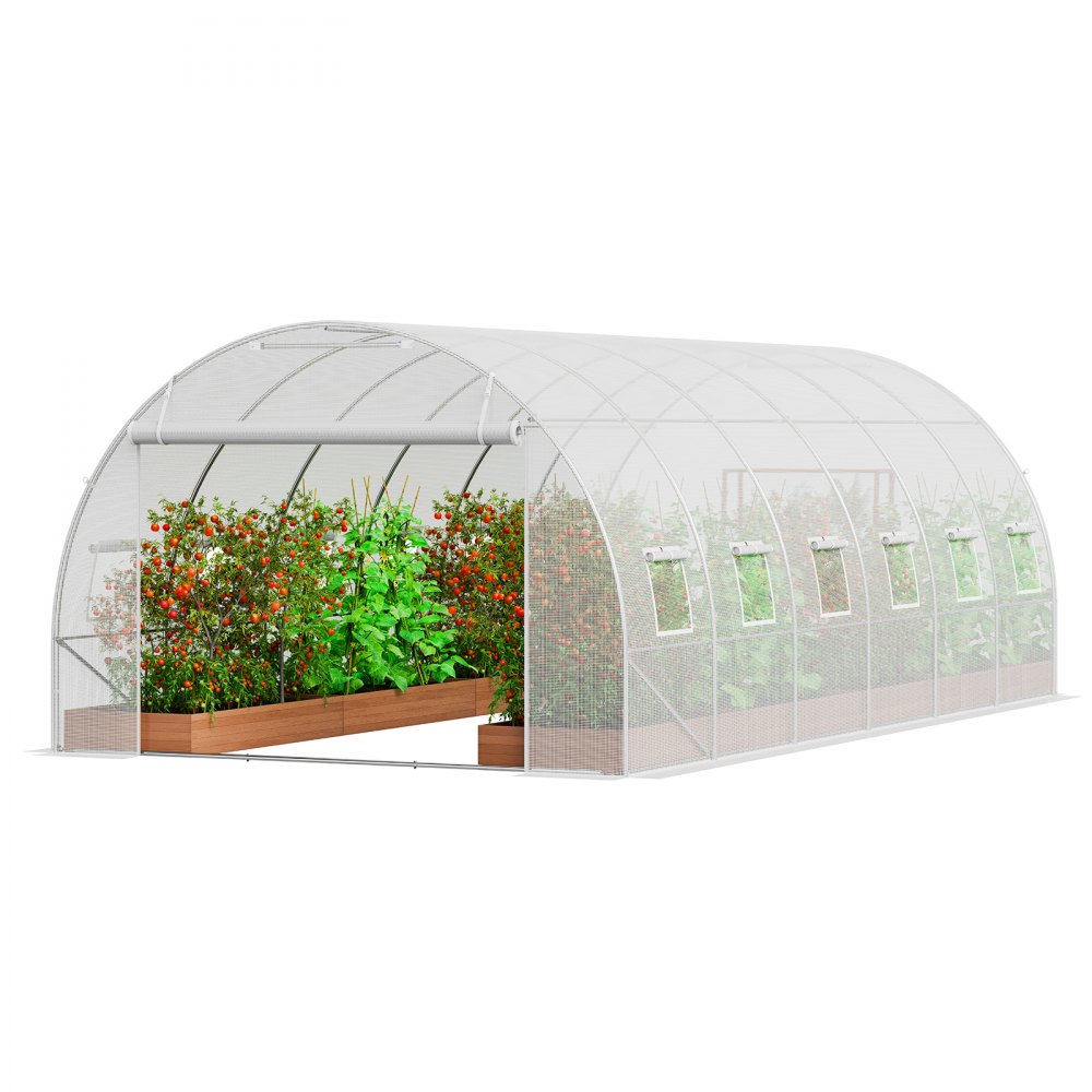 Walk-in tunnel greenhouse, 6.8 x 2.8 x 2.0 m, film greenhouse tunnel, plant greenhouse with galvanized steel frame, white PE cover, roll-up zip door and 12 windows for outdoor use Walk-in tunnel greenhouse, 6.8 x 2.8 x 2.0 m, film greenhouse tunnel, plant greenhouse with galvanized steel frame, white PE cover, roll-up zip door and 12 windows for outdoor use