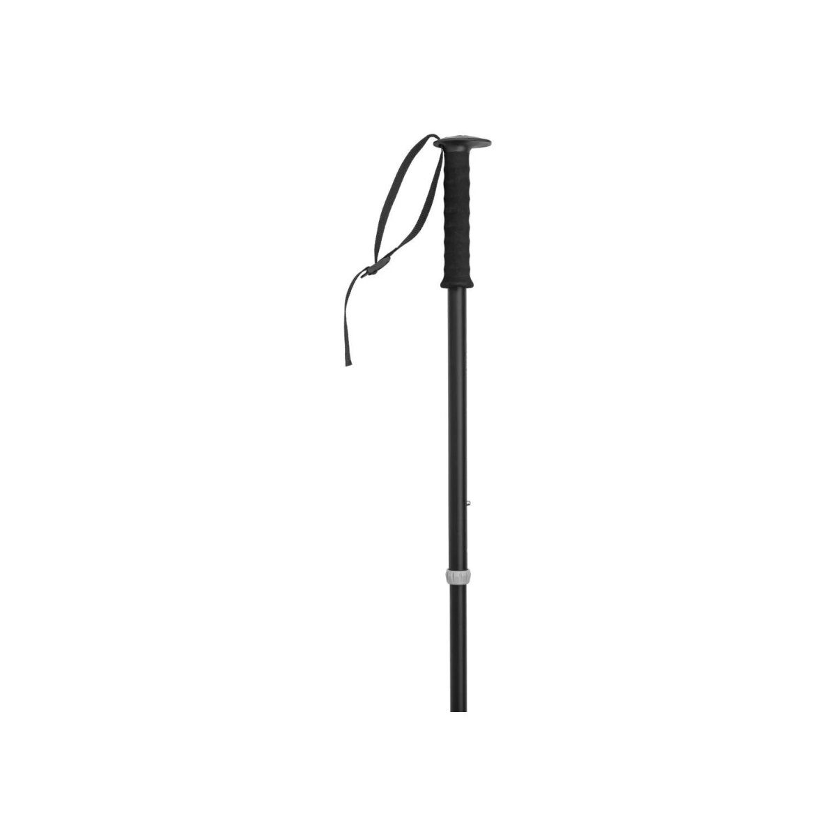 CRIVIT lot de 2 bâtons de randonnée, noir