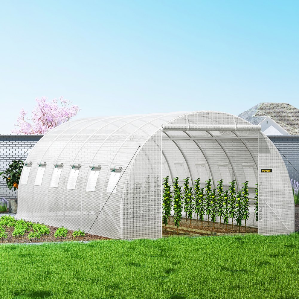 Serre film 6,1 x 3 x 2,1 m, serre avec toit voûté, structure en acier galvanisé, 140 g/cm³, serre mobile en PE, cadre froid étanche et résistant aux UV, adaptée à la culture de légumes, fleurs, plantes. Serre film 6,1 x 3 x 2,1 m, serre avec toit voûté, structure en acier galvanisé, 140 g/cm³, serre mobile en PE, cadre froid étanche et résistant aux UV, adaptée à la culture de légumes, fleurs, plantes.