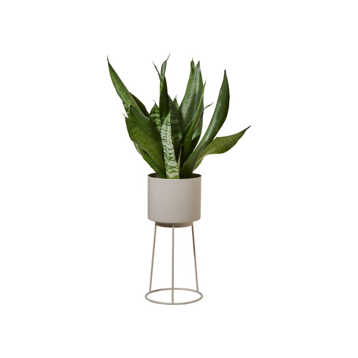 LIVARNO® plant pot with frame (beige)