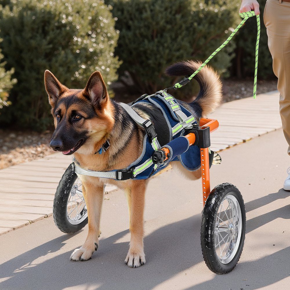 Dog Wheelchair for Hind Legs, Pet Wheelchair with 2 Wheels, Height, Width and Length Adjustable, Dog Cart with Shock Absorbing Wheels, for Injured, Disabled Hunde 50-80 Pounds