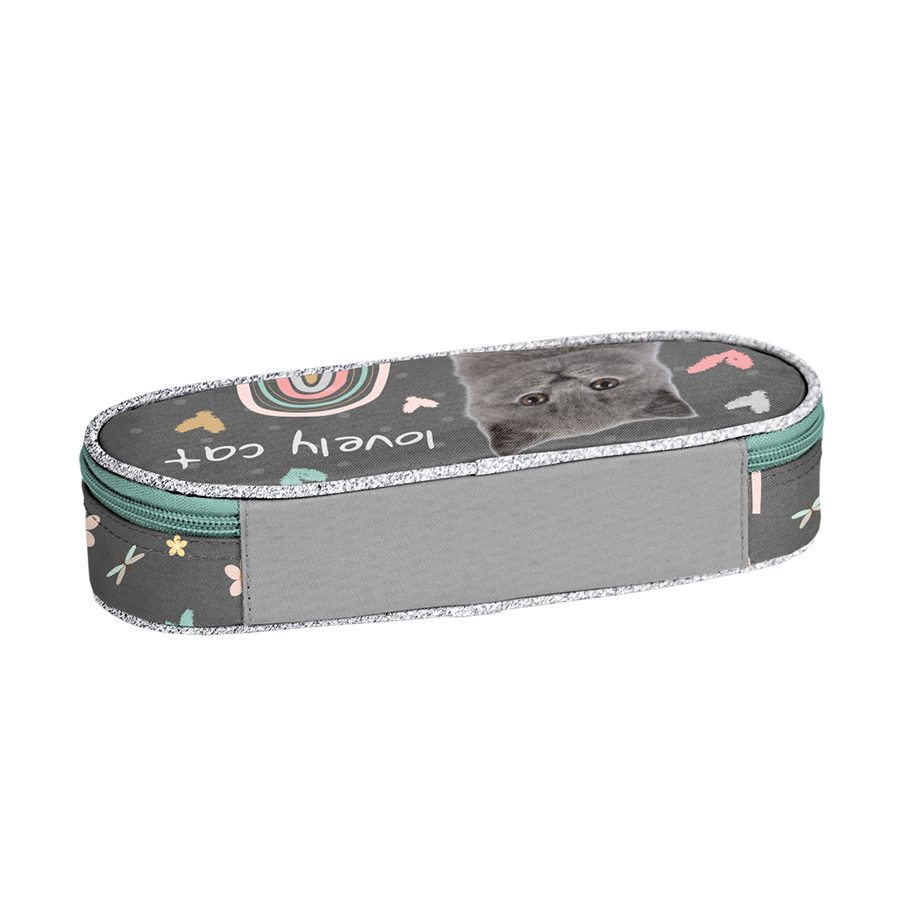 Mooie katten etui
