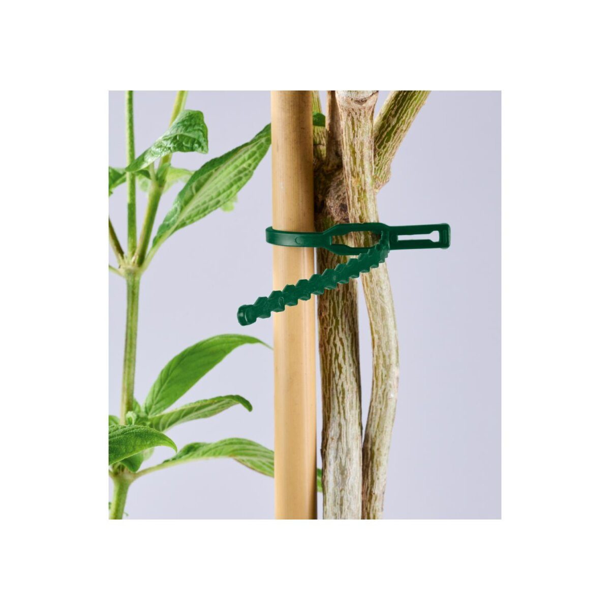 PARKSIDE® Growth Aid Kit / Plant Wire Kit