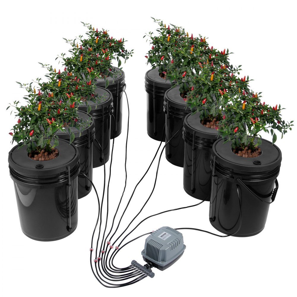 System uprawy hydroponicznej DWC, system uprawy hydroponicznej, kultura głębinowa o pojemności 5 galonów i 8 wiader, system DWC z pompą powietrza, kamieniami napowietrzającymi i wskaźnikiem poziomu wody dla warzyw liściastych