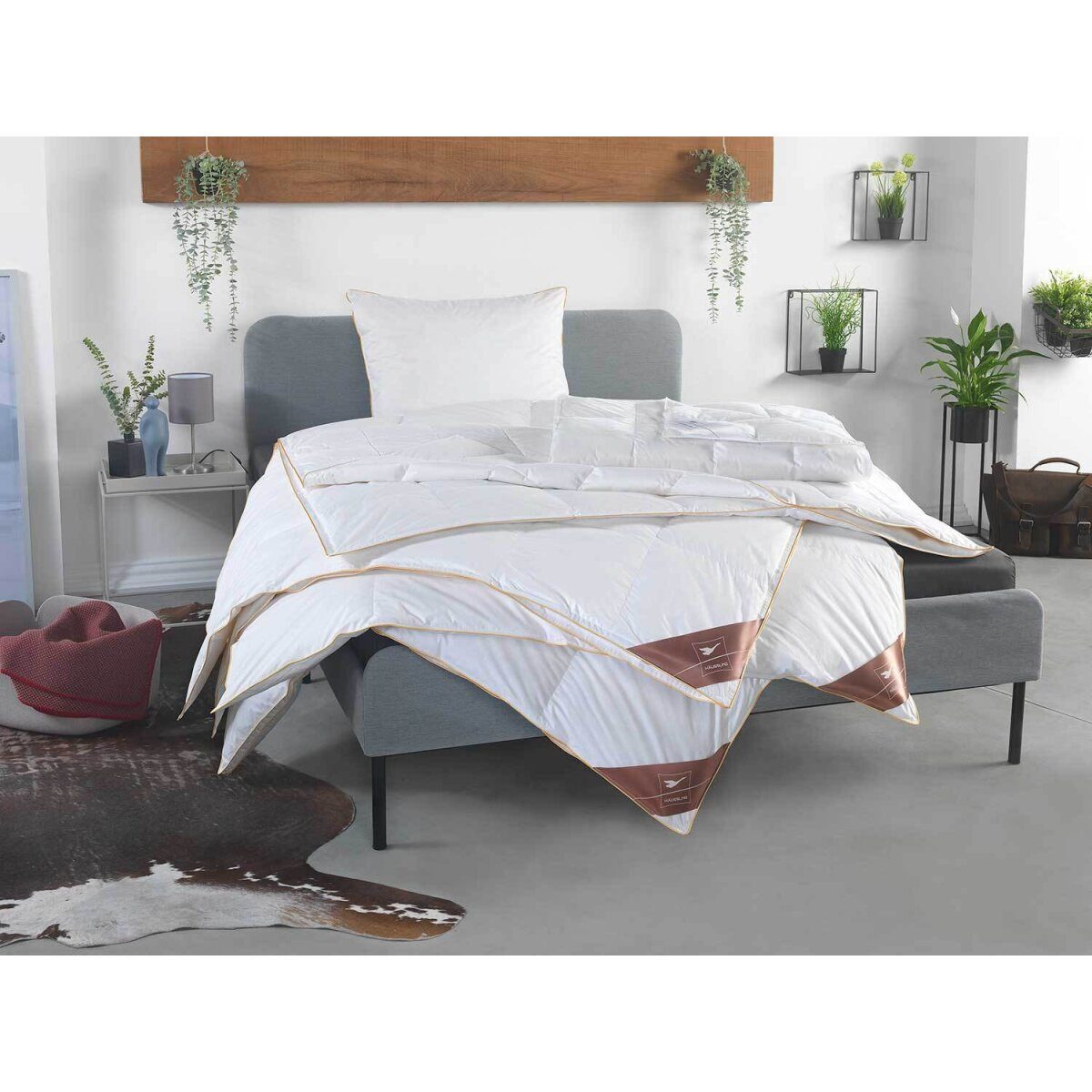 HÄUSSLING Couverture cassette en duvet Royal chaude
