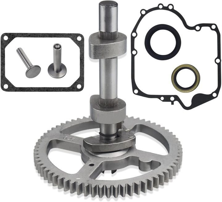 BRIGGS & STRATTON Arbre à Cames 10,5-19km 793583 790400 793880 Ensemble