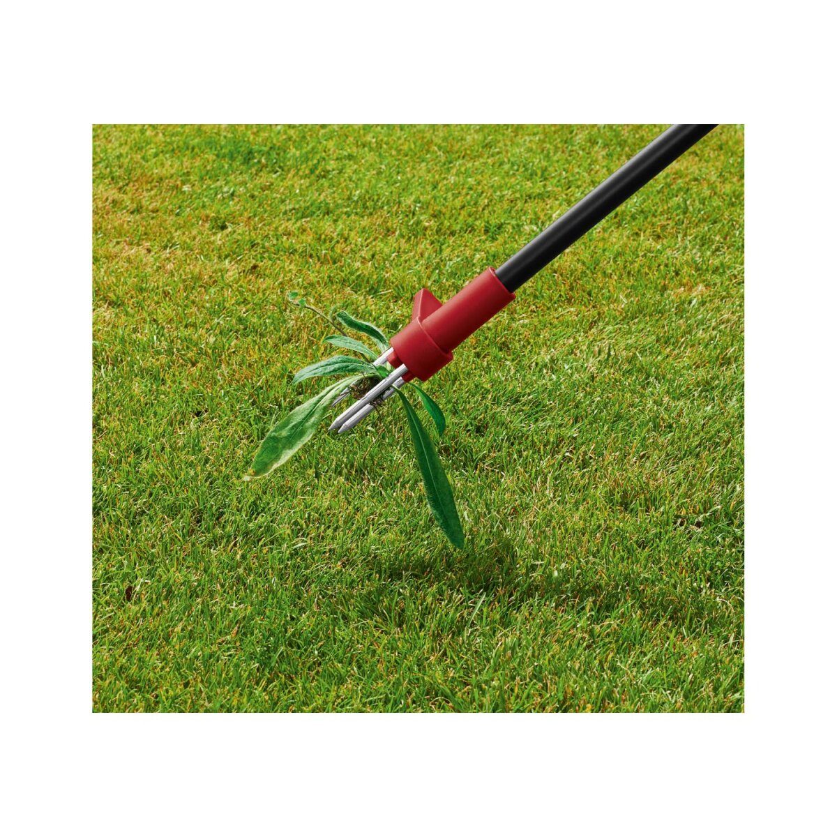 PARKSIDE® Gartengeräte, Unkrautstecher
