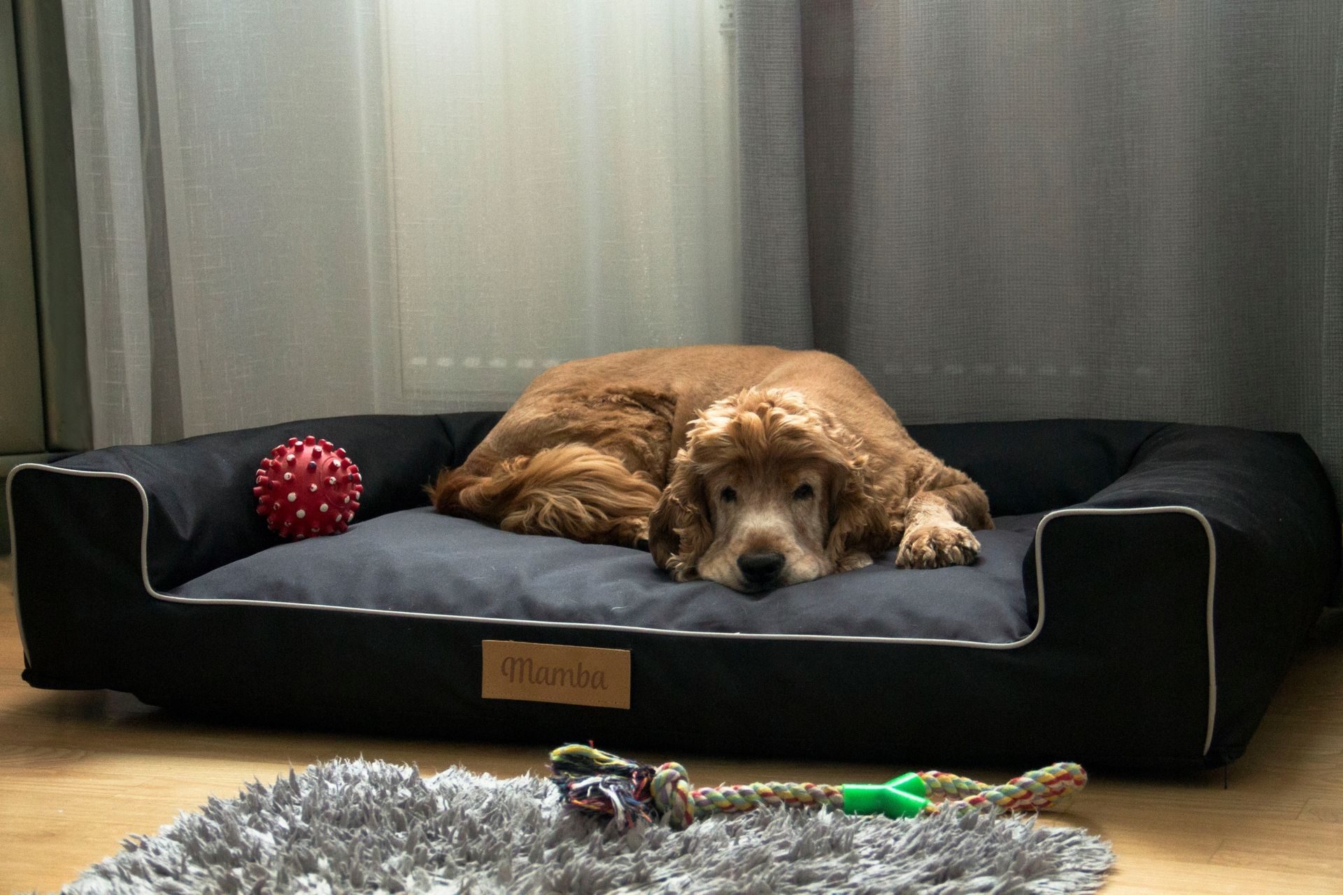 Lit pour chien fait à la main, coussin pour chien, canapé pour chien, lit pour animaux, lit pour chat, panier pour chien, lieu de couchage avec plaque signalétique