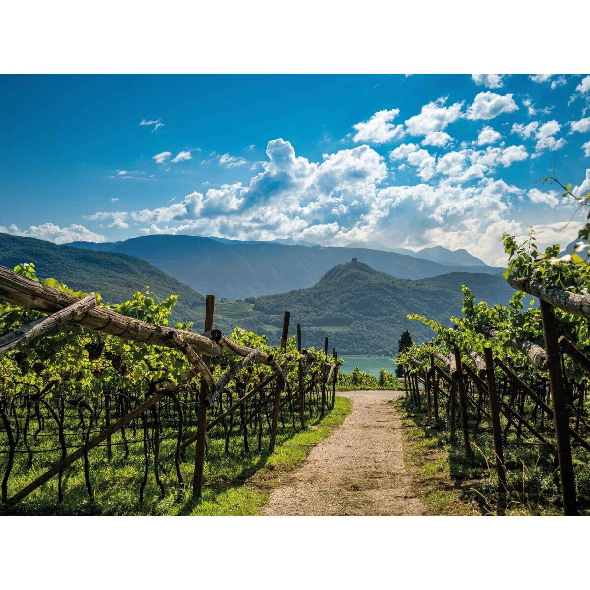 Kaltern Winery Lagrein Alto Adige DOC dry, red wine 2024