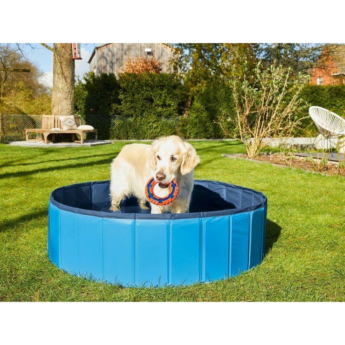 ZOOFARI® Dog Pool, No Inflation, Foldable, Includes Carry Bag