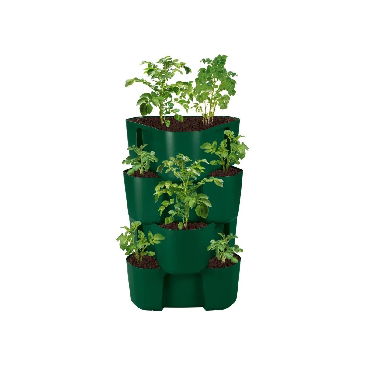 Tour de plantation et pommes de terre PARKSIDE®