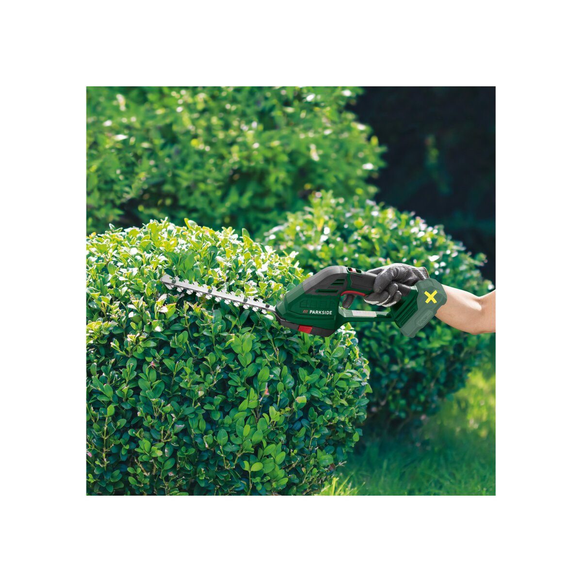 Taille-herbe et arbustes sans fil PARKSIDE® 20 V »PAGS 20-Li A1«, sans batterie ni chargeur