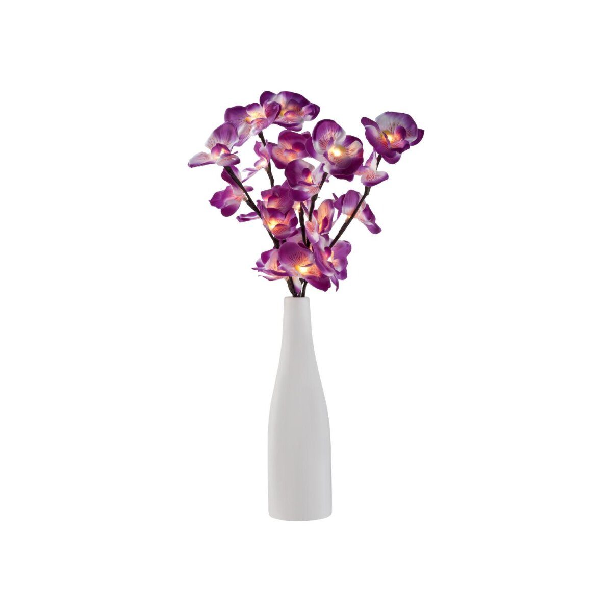 LIVARNO® siervaas met LED-lichttak (orchideeënbloesem, paars)
