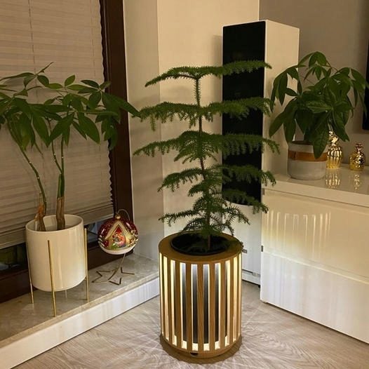 Pot de fleur fait main en lattes de chêne carré 2en1 éclairage LED 33cm – Réf. HT-15311