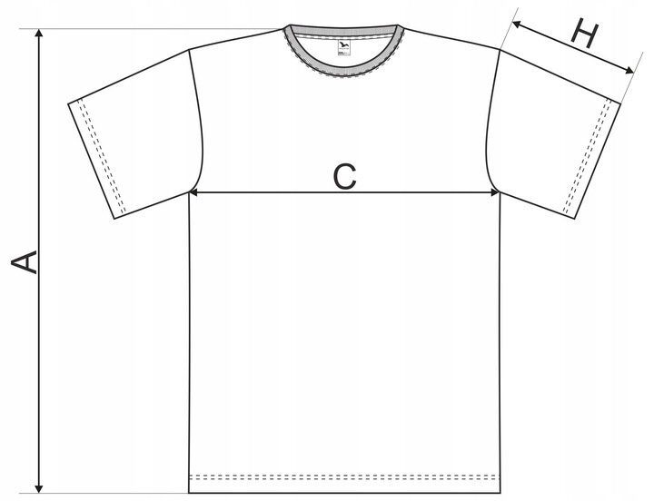 Męski t-shirt FENDT PREMIUM