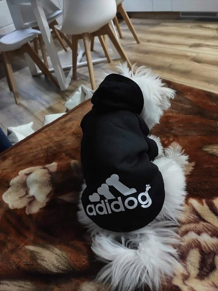 Adidog dog clothes, sweater, hooded jacket, outfit for dogs, puppies, color of your choice