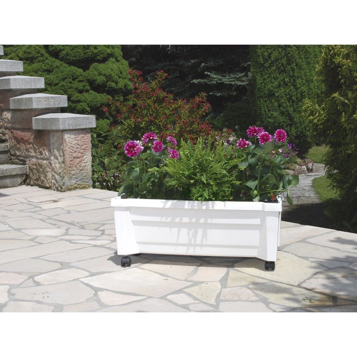 KHW Calypso plant box with irrigation system, W 79 x D 35 x H 33 cm (white)