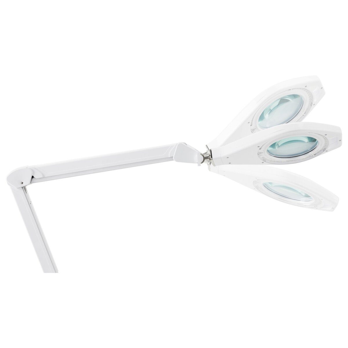 LIVARNO home LED-Lampe, mit Lupe