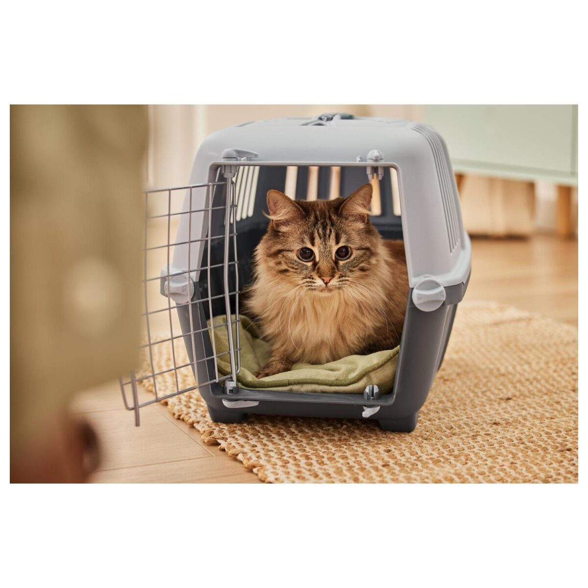 ZOOFARI® kattentoilet/transportbox (transportbox)