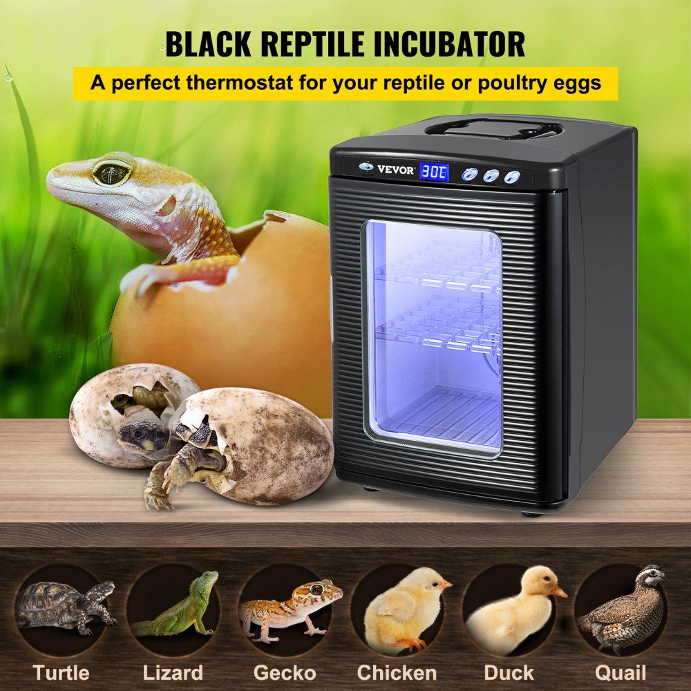 Broedmachine Reptiel Eieren Incubators 25L Laboratorium Koeling Verwarming 5-42℃ 220V voor Broedeieren Zwart