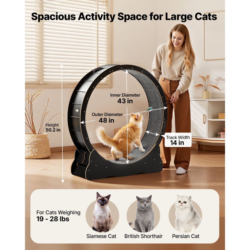 Vélo d'exercice pour chat, roue d'exercice en bois de 1080 mm de diamètre intérieur pour chats de 8,6 à 12,7 kg, tapis roulant pour chat avec tapis de sol et mécanisme de verrouillage, jouet silencieux pour chats d'intérieur, noir