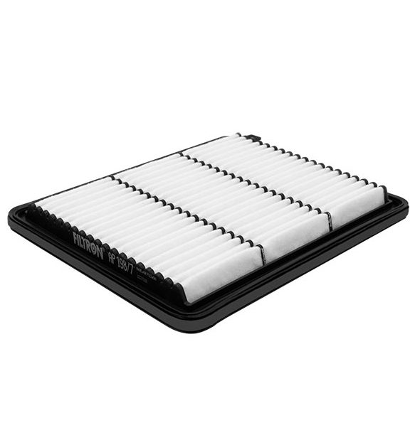 FILTRON Ap 198/7 air filter