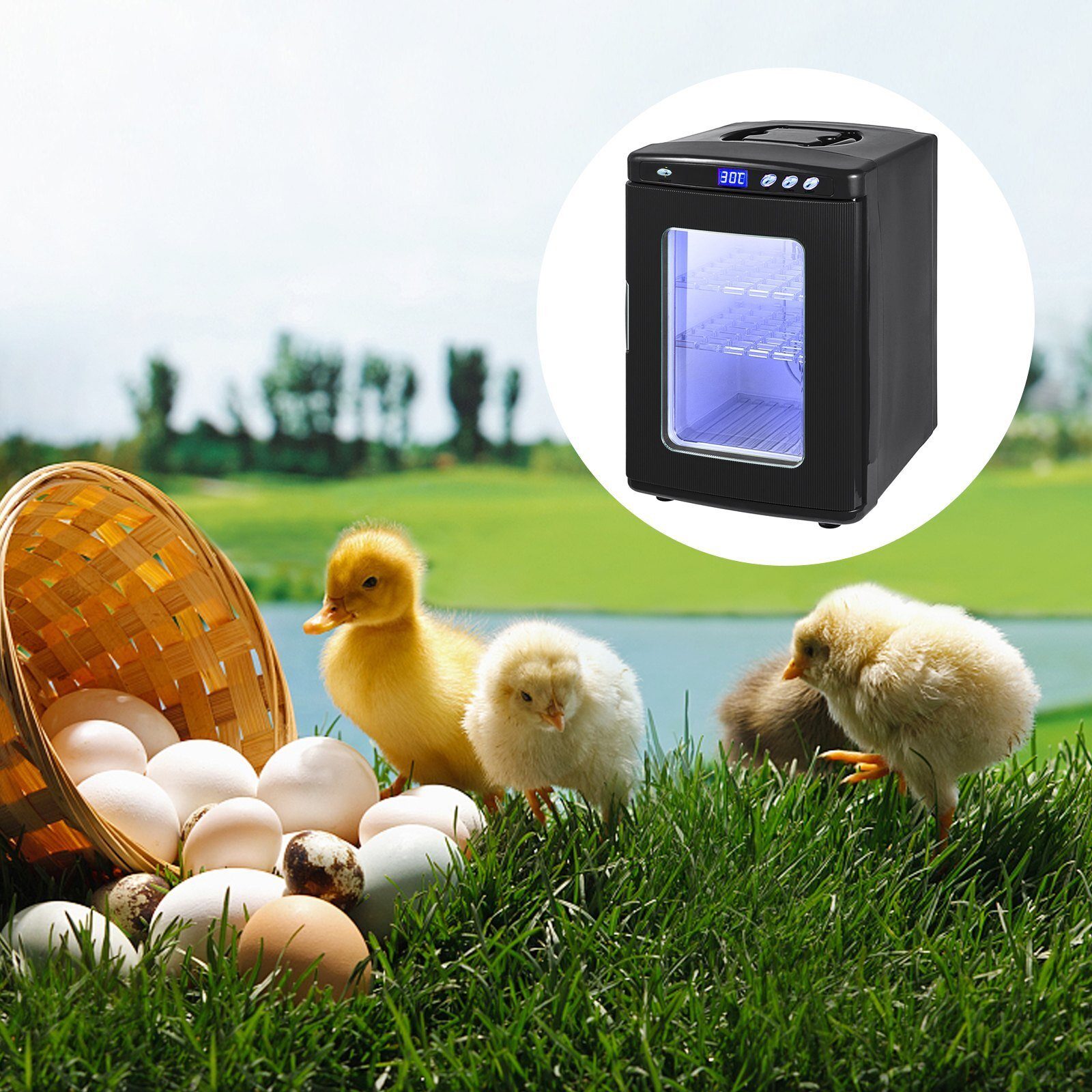 Inkubator Inkubator 25L Inkubator Reptilien Hühner etc. Wärmeschrank 5-60°C 220V für Bruteier Huhn Ente Vogel