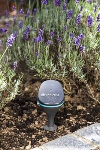 Gardena Smart Sensor: measures soil moisture, light intensity, outside temperature via Smart App for iOS and Android, can be integrated into the irrigation control (19030-20)