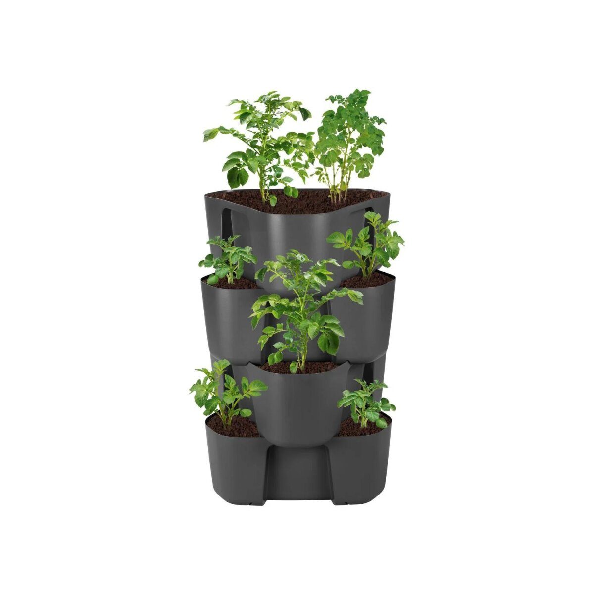 Tour de plantation et pommes de terre PARKSIDE®