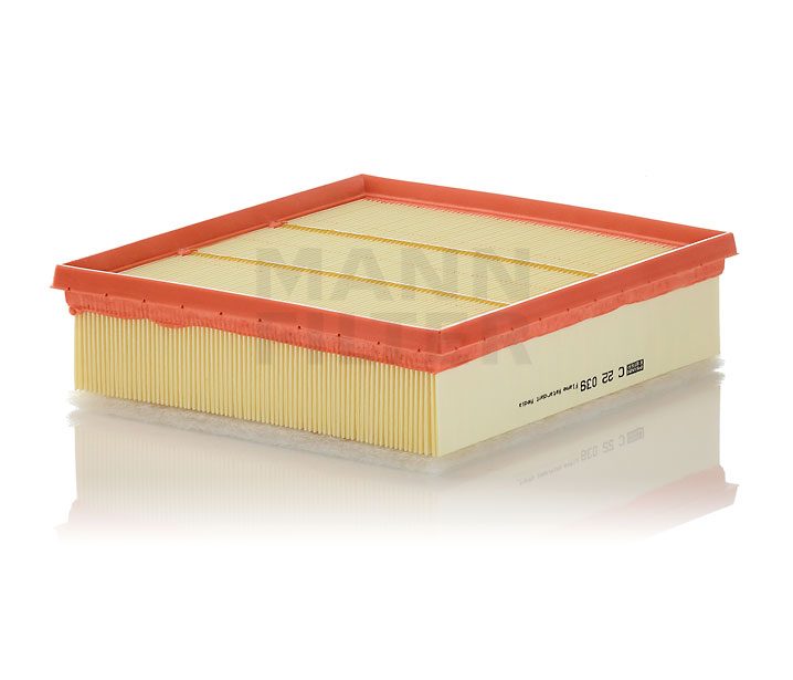 MANN C 22 039 Luftfilter
