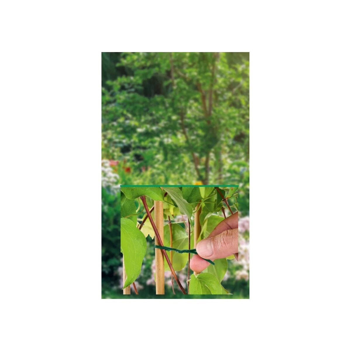 PARKSIDE® Growth Aid Kit / Plant Wire Kit