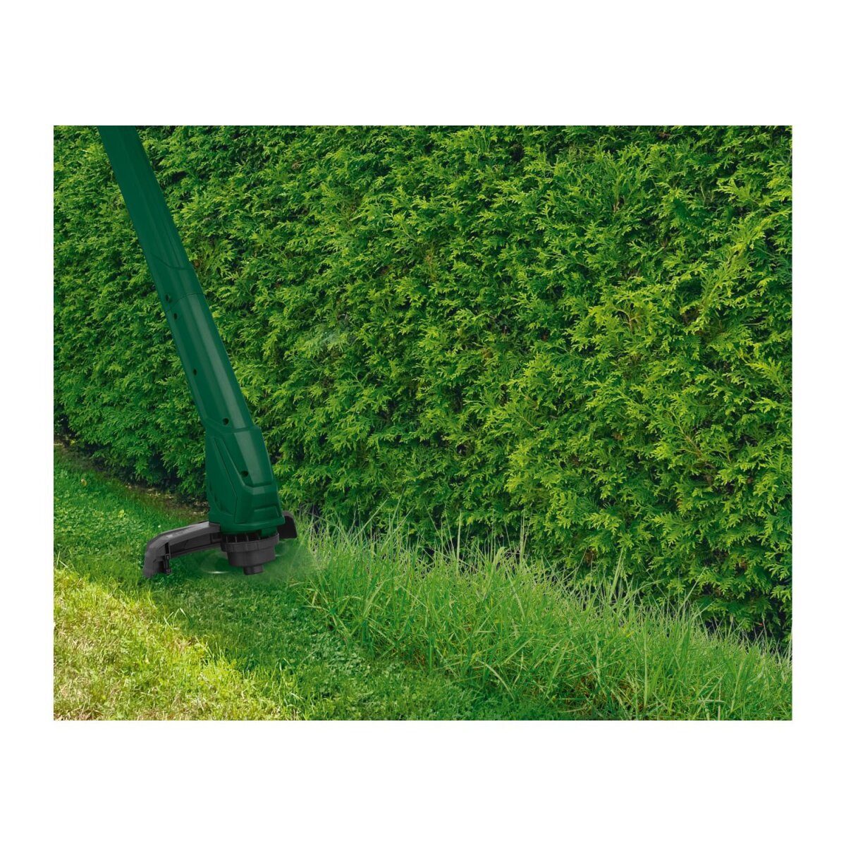 PARKSIDE® »PERT 300 C1« Elektro-Rasentrimmer, mit einstellbarem Zweitgriff
