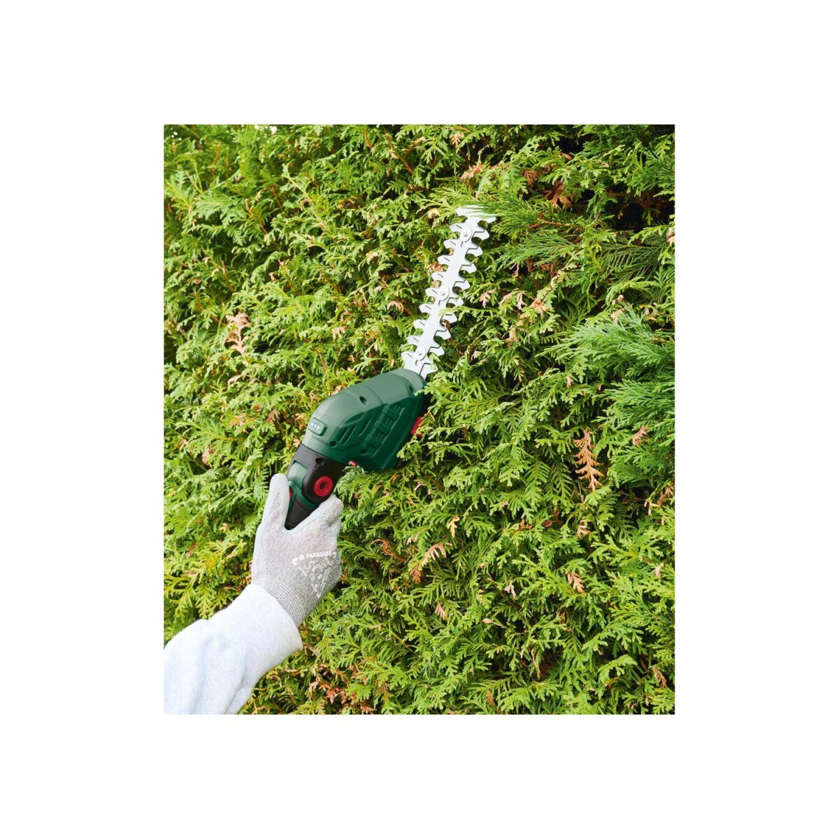 PARKSIDE® 12 V accugras- en buxusschaar »PGSA 12 B1«, met accu en lader