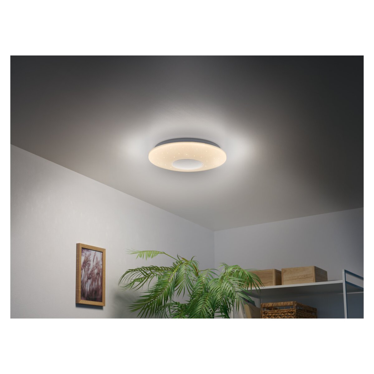 Lampa sufitowa LED LIVARNO home z głośnikiem Bluetooth® Lampa sufitowa LED LIVARNO home z głośnikiem Bluetooth®