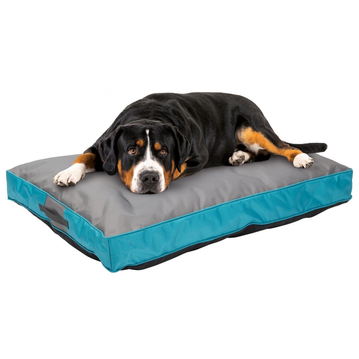 zoofari® Hundebett, Outdoor, Loungkissen/Quadrat