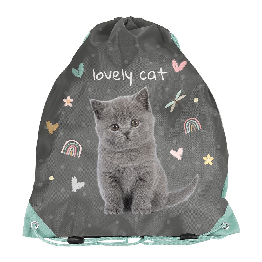 Beautiful Cat shoe bag