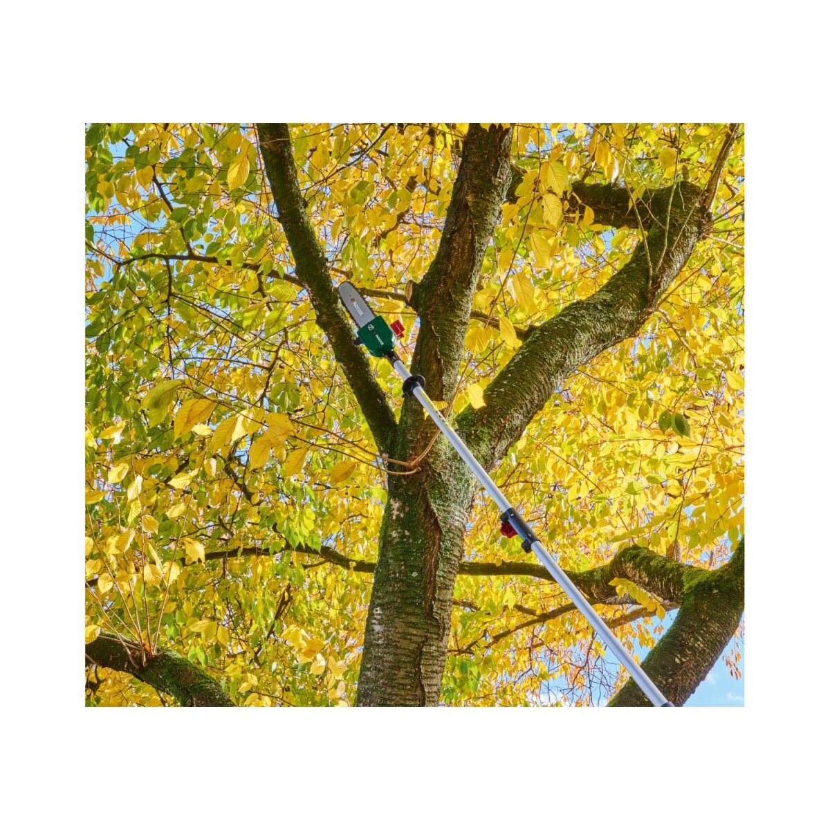 Zestaw benzynowy PARKSIDE® »PBK 4 D5«