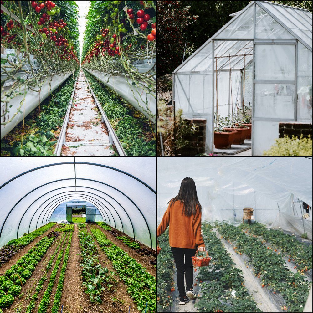 PE greenhouse film 7.3 m long x 15.2 m wide transparent greenhouse films, 0.15 mm thick film tunnel, tear-resistant garden films made of polyethylene as plastic films for outdoor covers