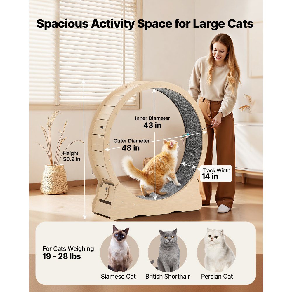 Katzenlaufrad, 1080 mm Innendurchmesser, Holzlaufrad für 8,6–12,7 kg schwere Katzen, mit Teppichlauffläche und Verriegelungsmechanismus, leises Spielzeug für Hauskatzen