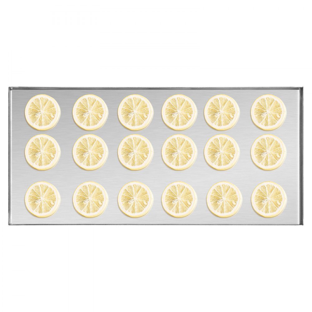 Freeze Dryer Freeze Drying Machine Drying Equipment (4-6kg Capacity) for Food with 4 Layer Trays and Adjustable Temperature and Time, for Fruit White